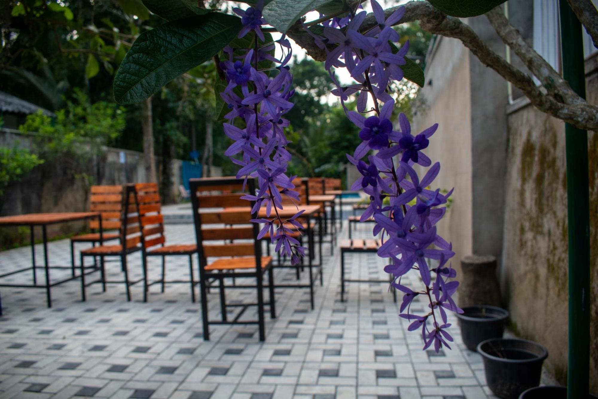 Villa Tranquil Kandy Peradeniya Dış mekan fotoğraf